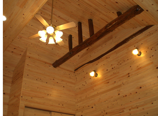 ���t�H�[����̊J���I�ȋ��