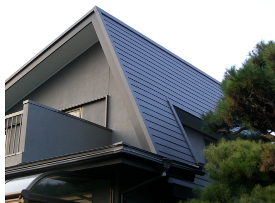 ���t�H�[����̗l�q