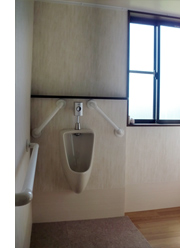 ���V���ݎ{�H��